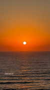 veronika_grish Altpins Profile Picture