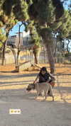 veronika_grish Altpins Profile Picture