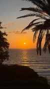 veronika_grish Altpins Profile Picture