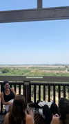 veronika_grish Altpins Profile Picture
