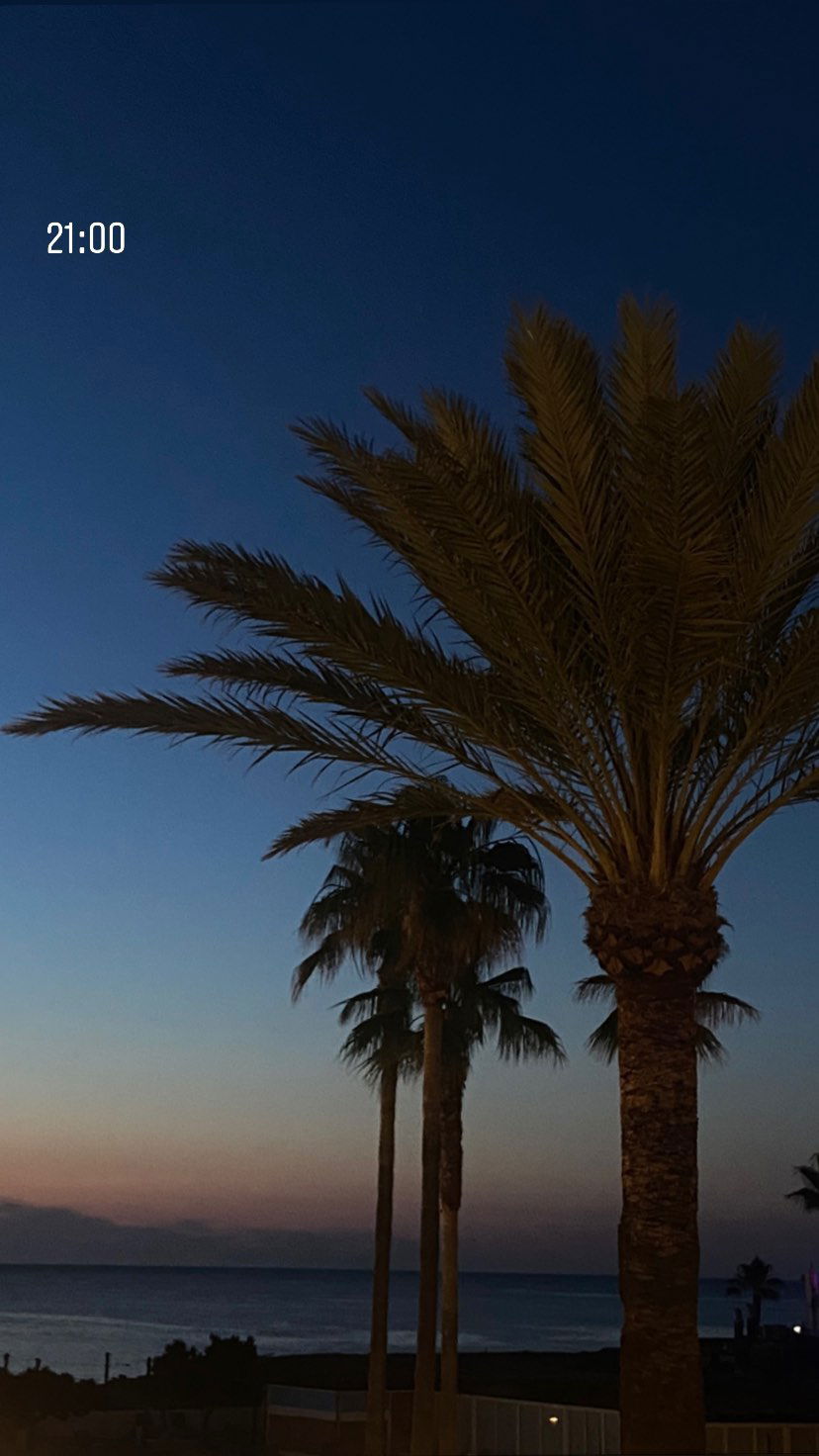 victoriaturnerr instagram image archive image