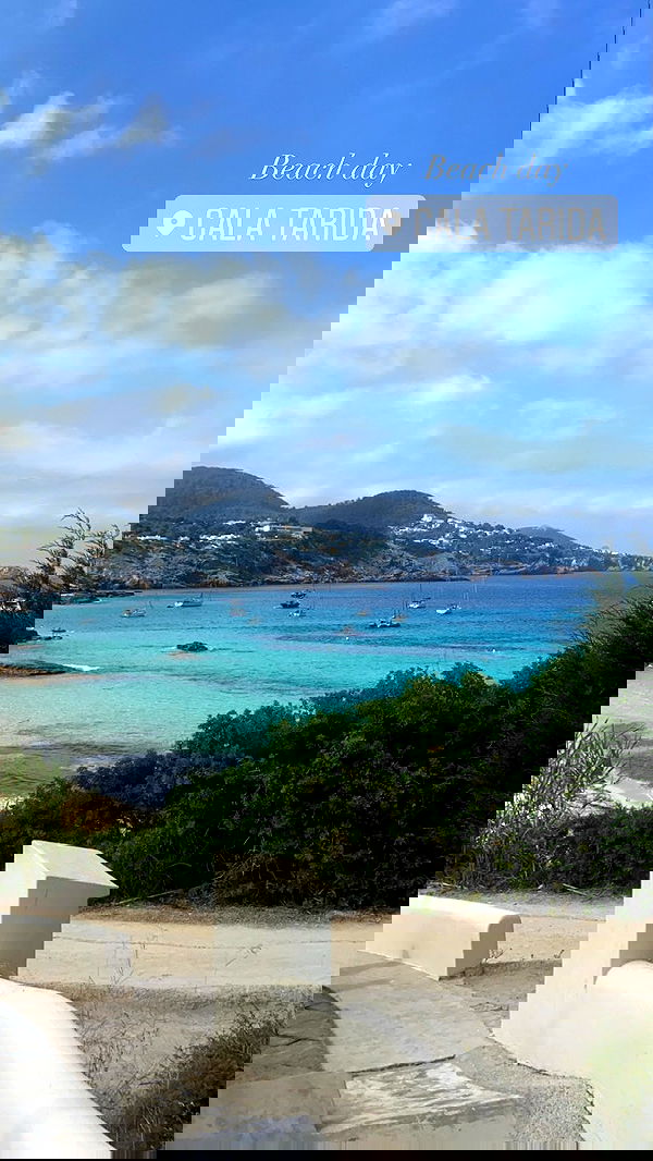 victoriaturnerr image ~ Altpins