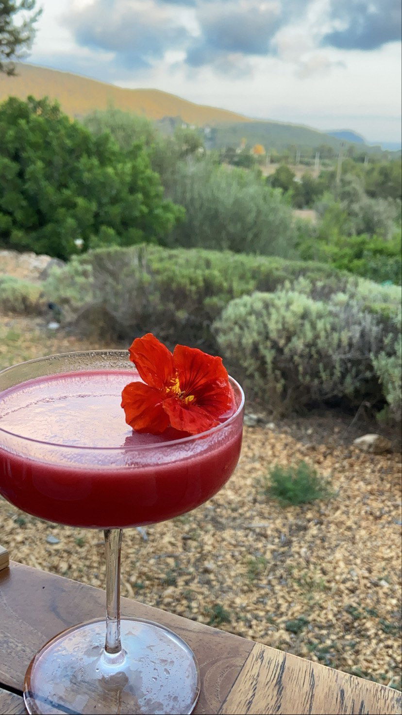 victoriaturnerr instagram image archive image