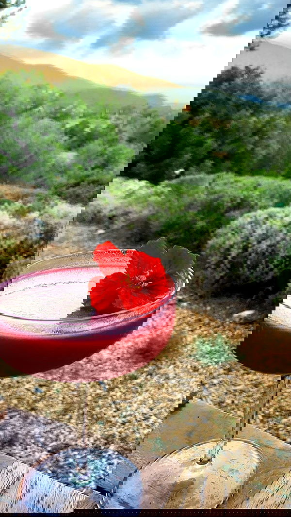 victoriaturnerr image ~ Altpins