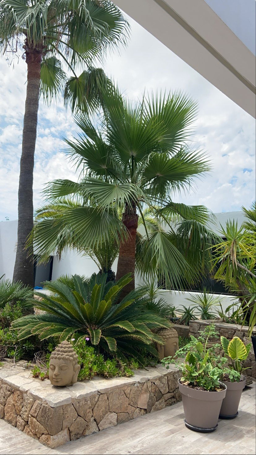 victoriaturnerr instagram image archive image