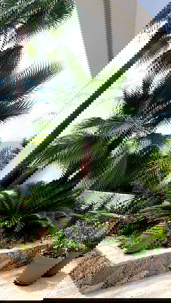 victoriaturnerr image ~ Altpins