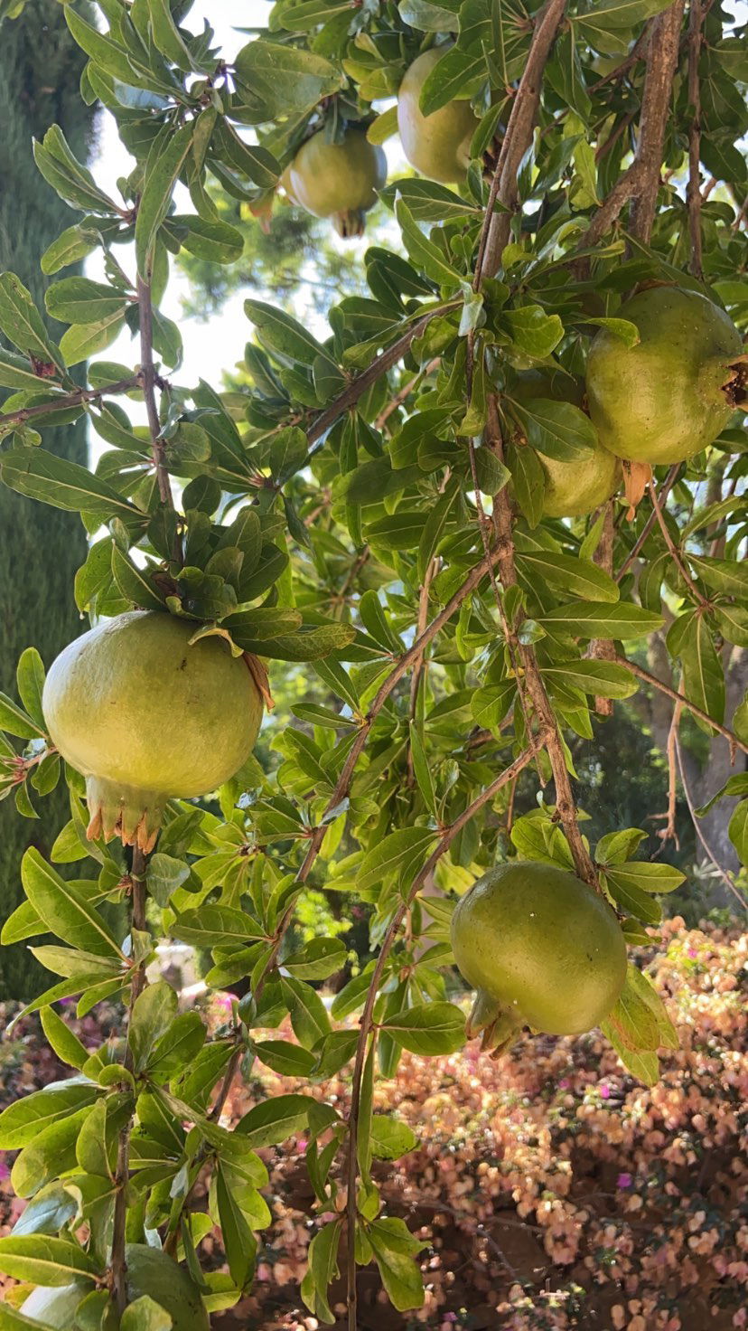 victoriaturnerr instagram image archive image