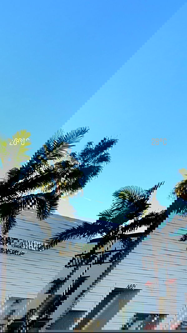 victoriaturnerr image ~ Altpins