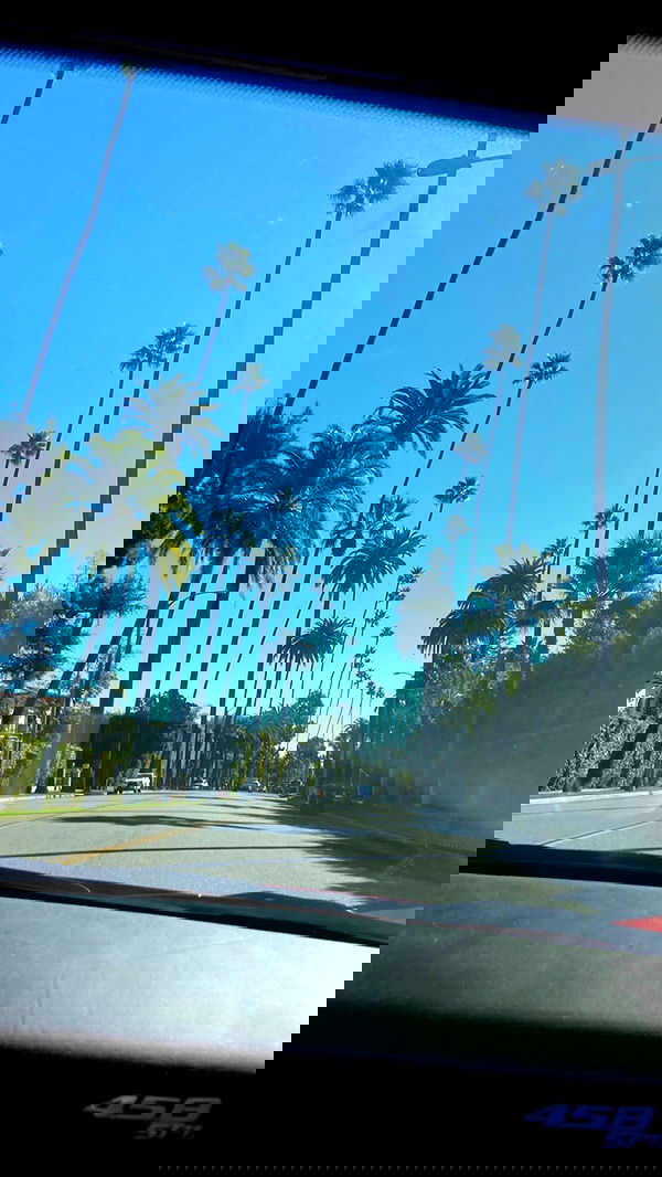 victoriaturnerr image ~ Altpins