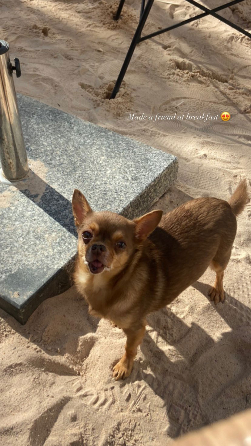 victoriaturnerr instagram image archive image