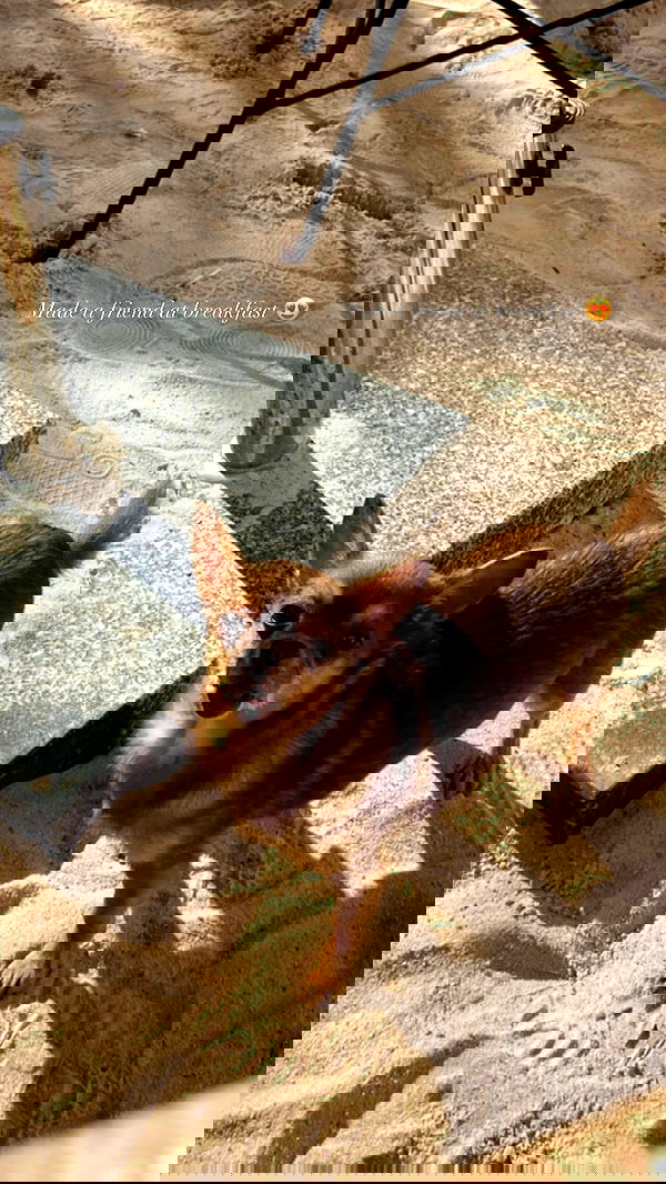 victoriaturnerr image ~ Altpins