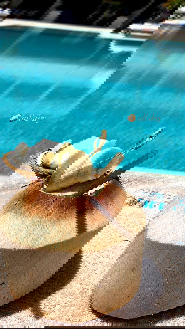 victoriaturnerr image ~ Altpins