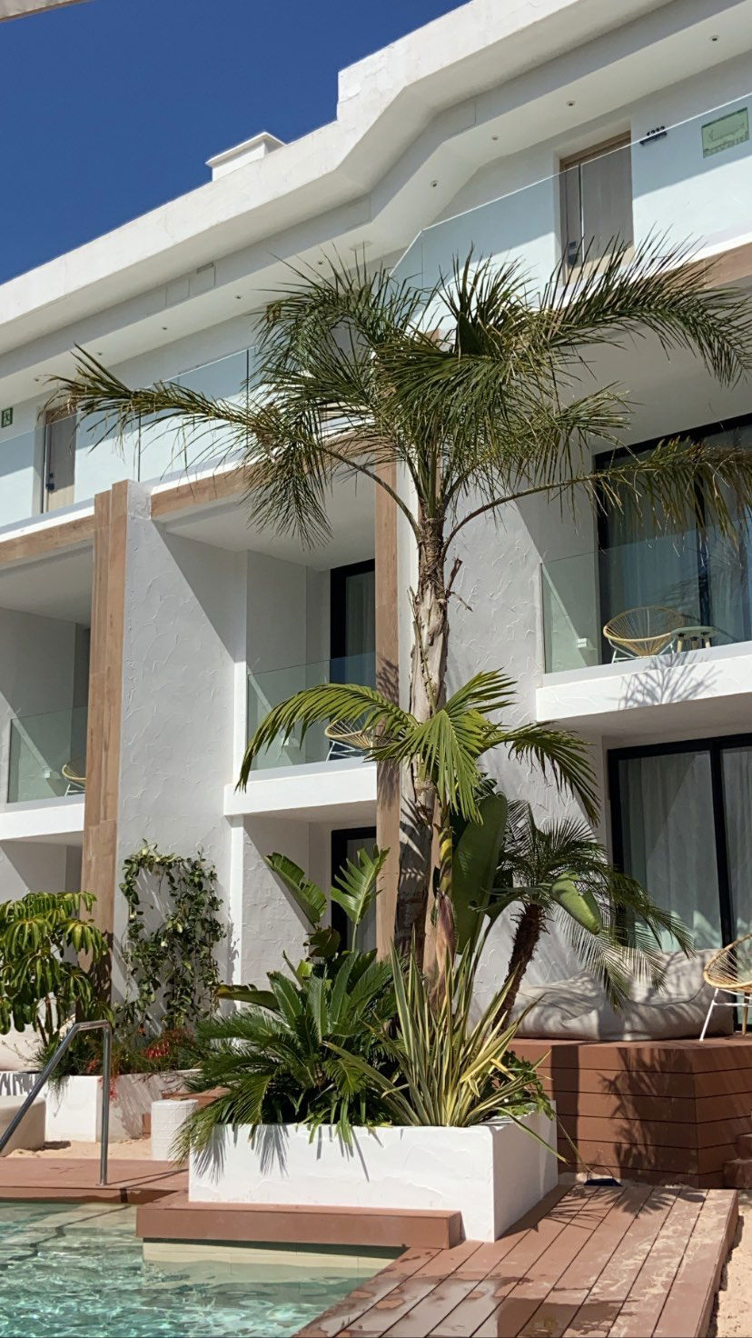 victoriaturnerr instagram image archive image