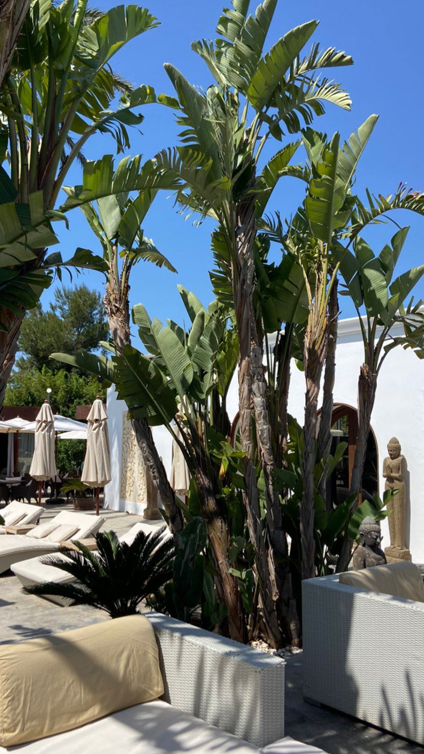 victoriaturnerr instagram image archive image