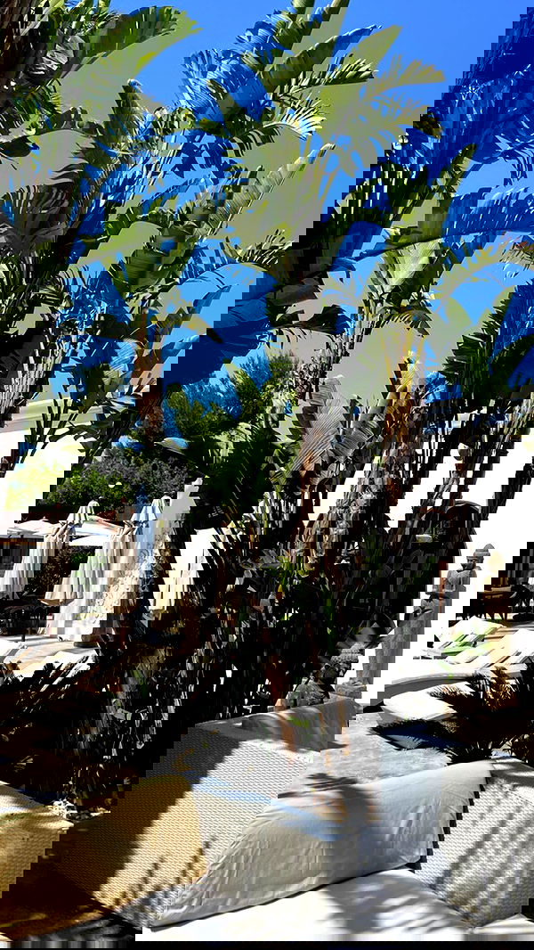 victoriaturnerr image ~ Altpins