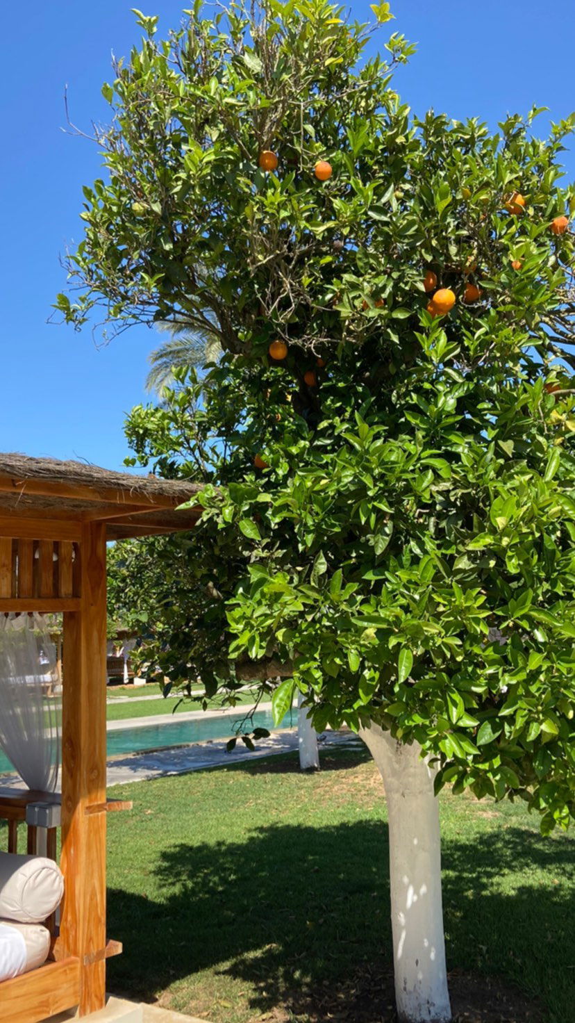 victoriaturnerr instagram image archive image