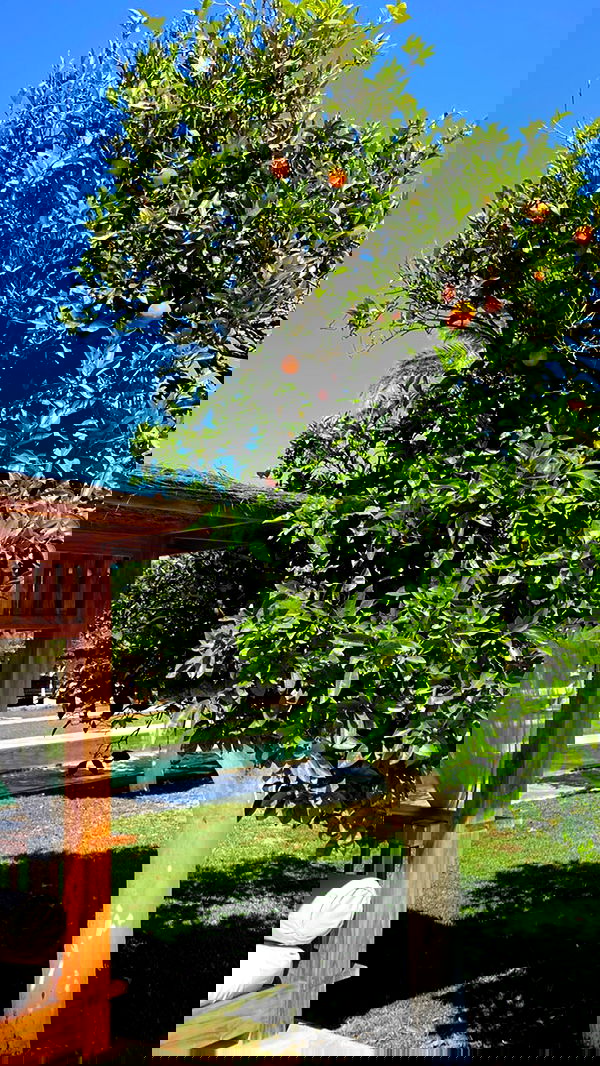 victoriaturnerr image ~ Altpins