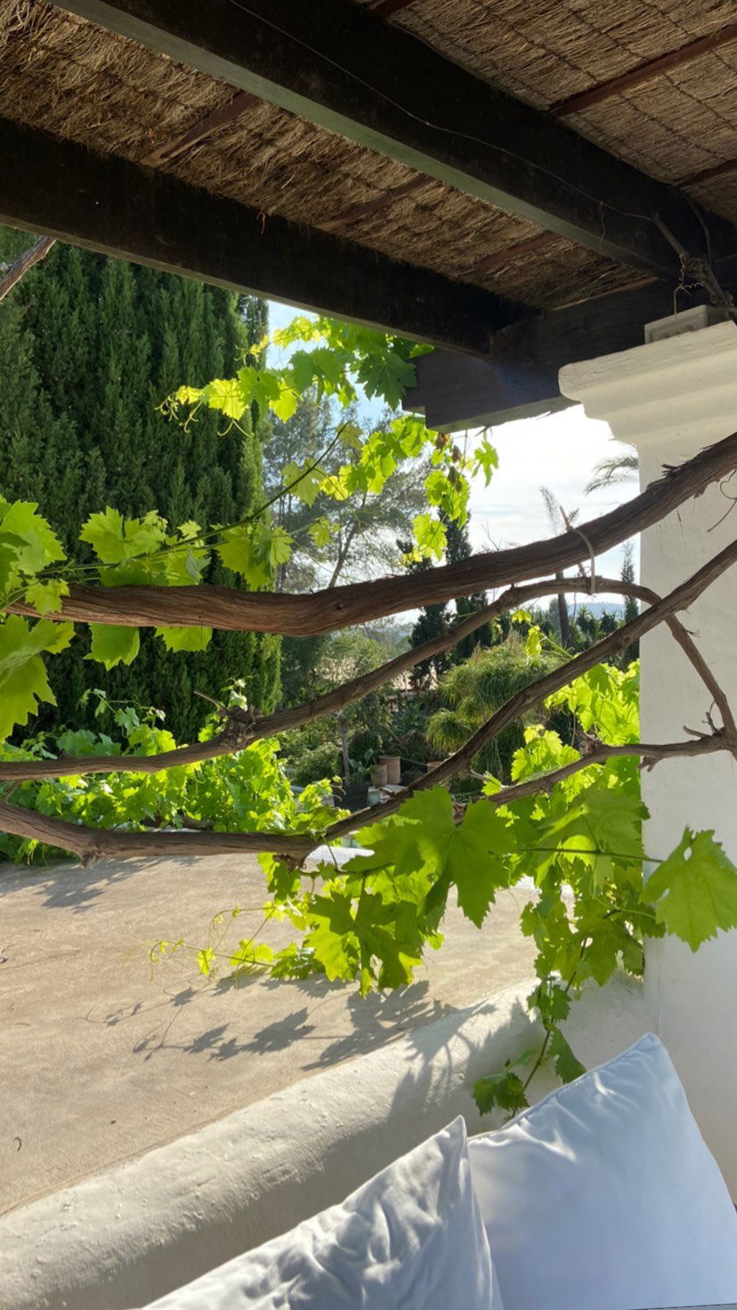 victoriaturnerr instagram image archive image