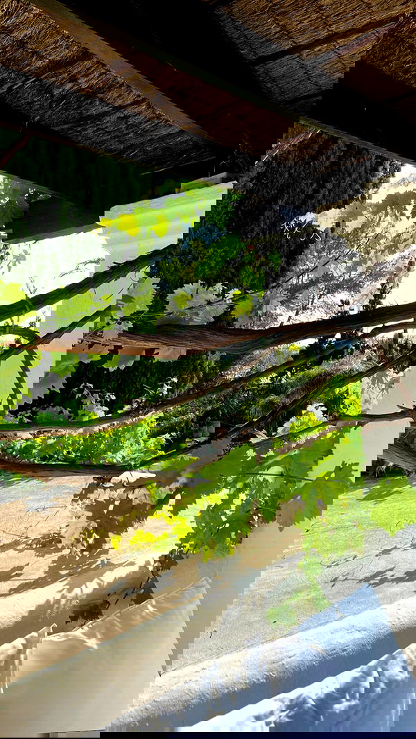 victoriaturnerr image ~ Altpins