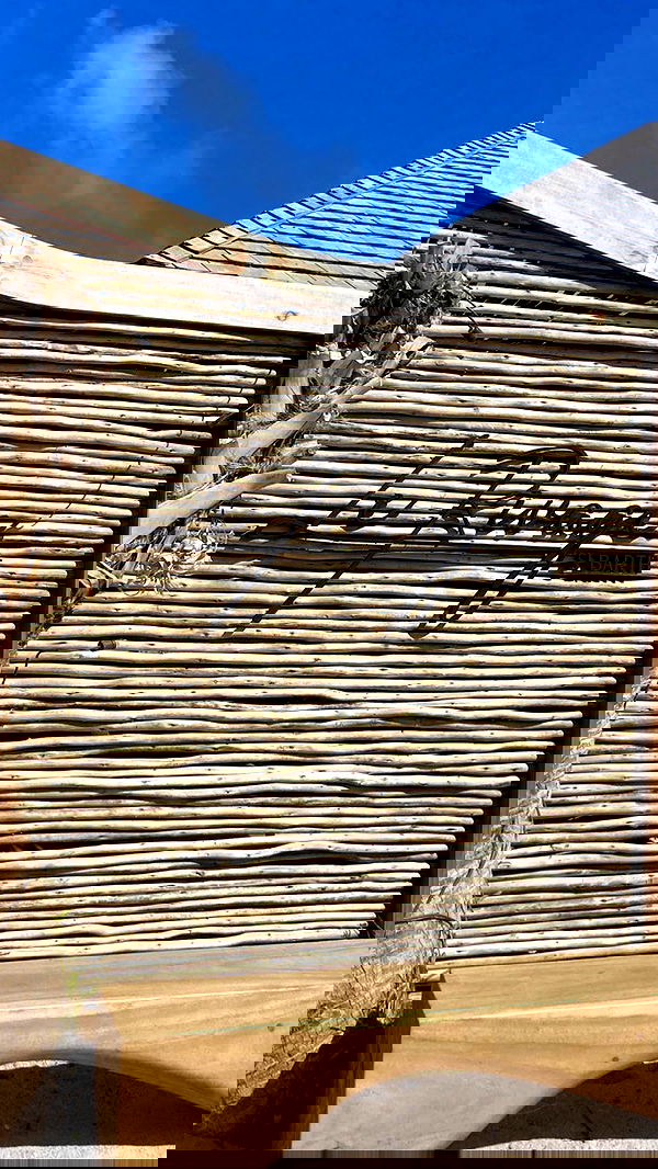 victoriaturnerr image ~ Altpins