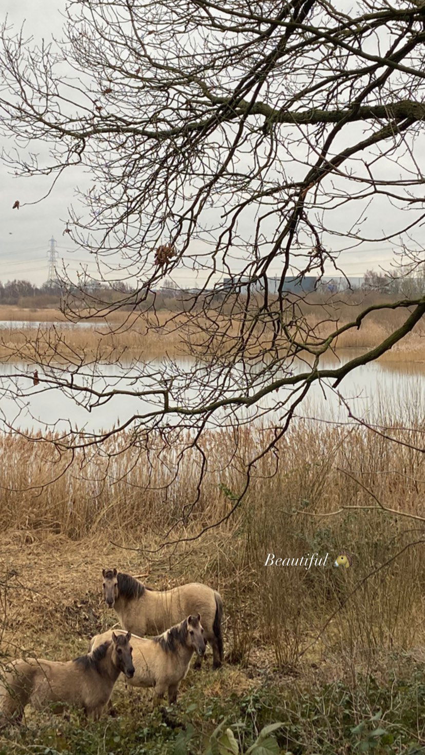 victoriaturnerr instagram image archive image