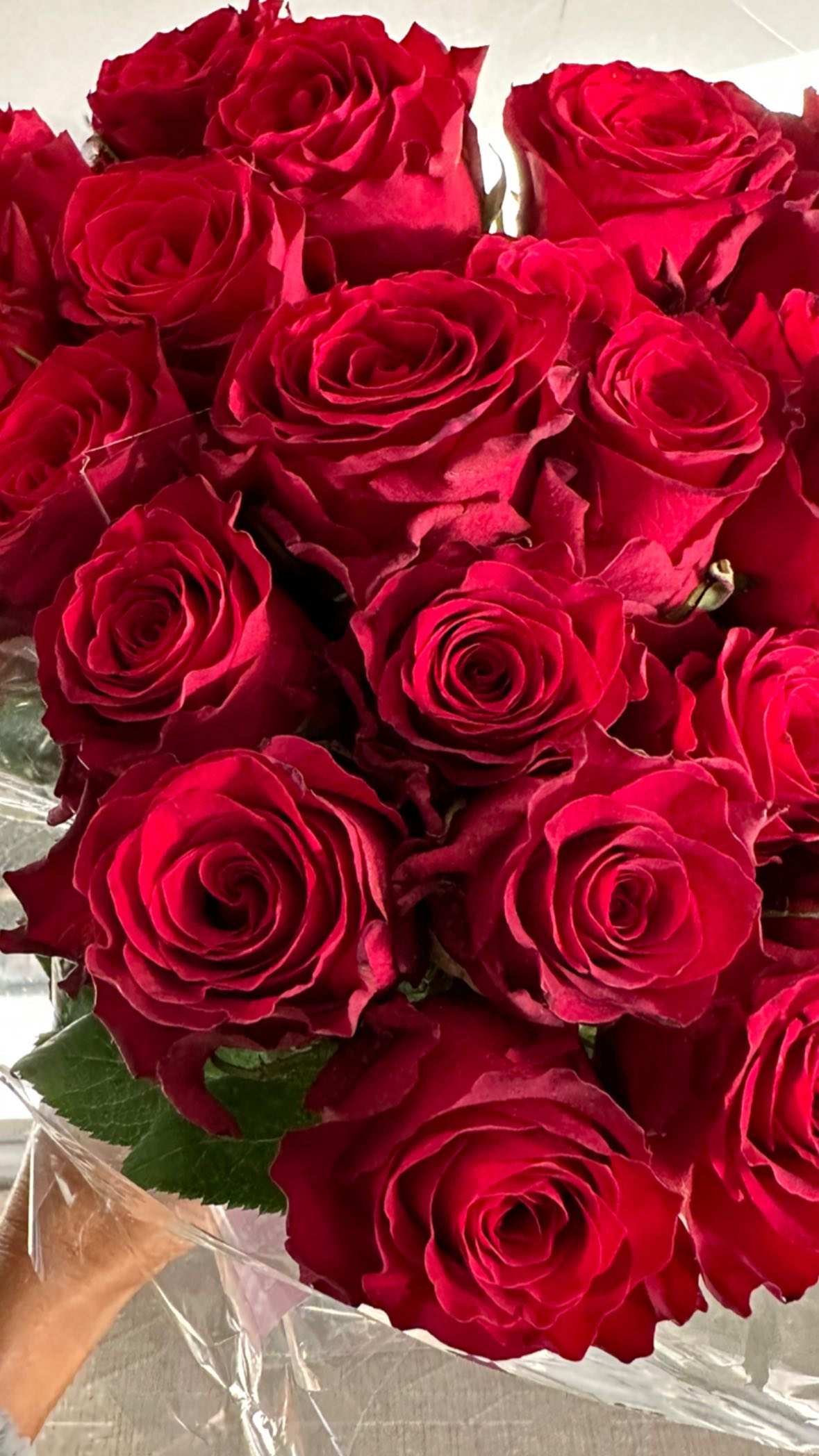 victoriaturnerr instagram image archive image