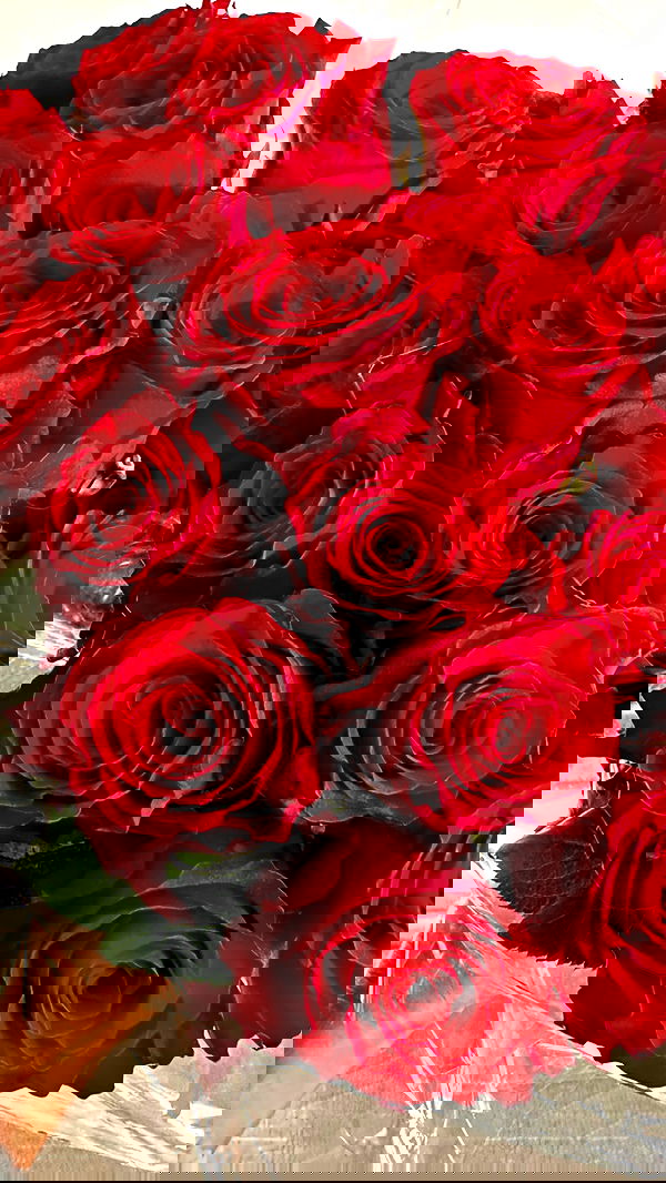 victoriaturnerr image ~ Altpins