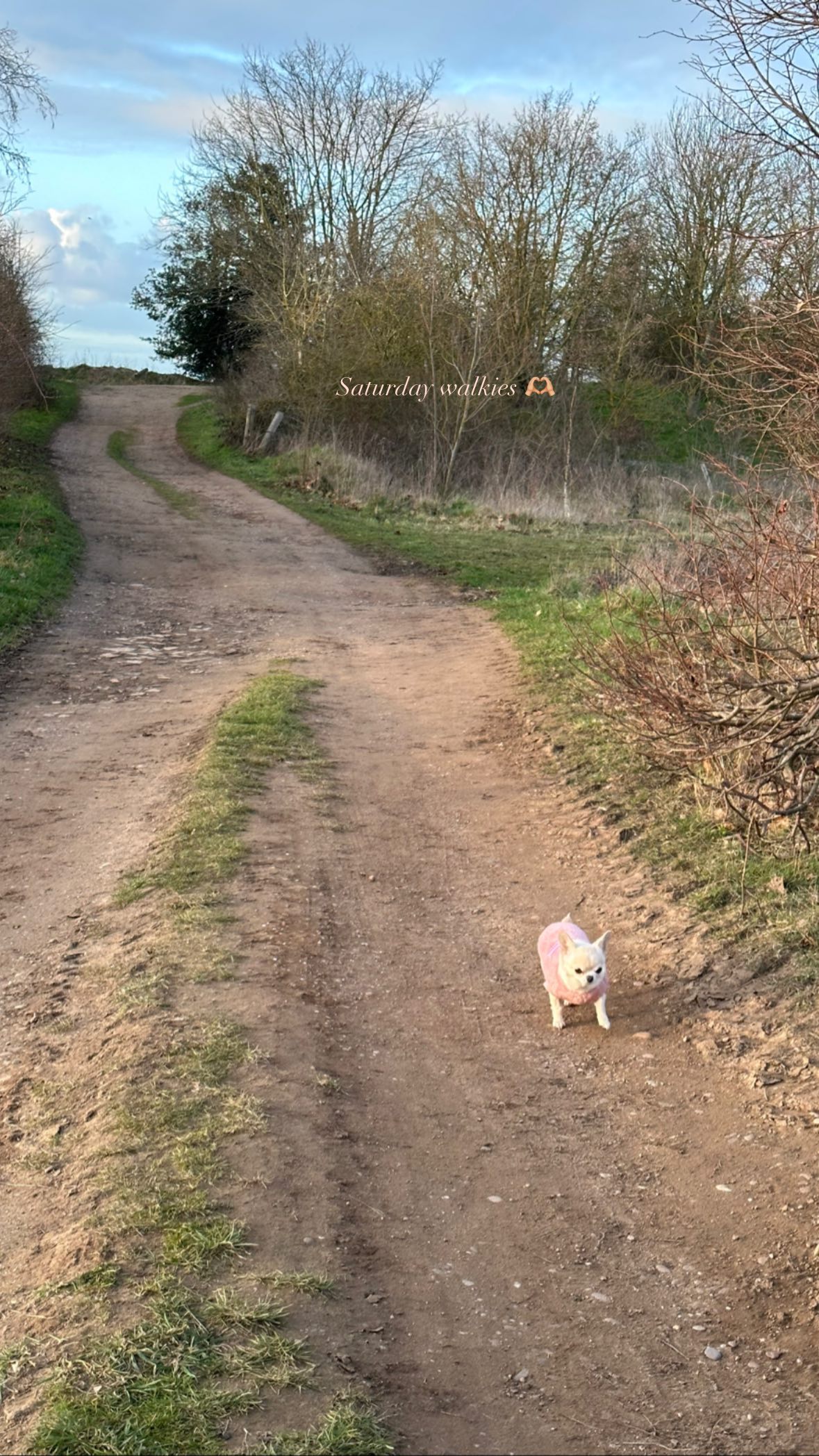 victoriaturnerr instagram image archive image