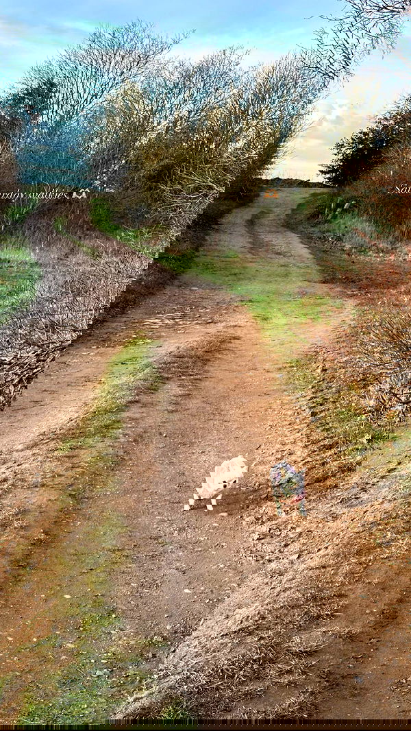 victoriaturnerr image ~ Altpins