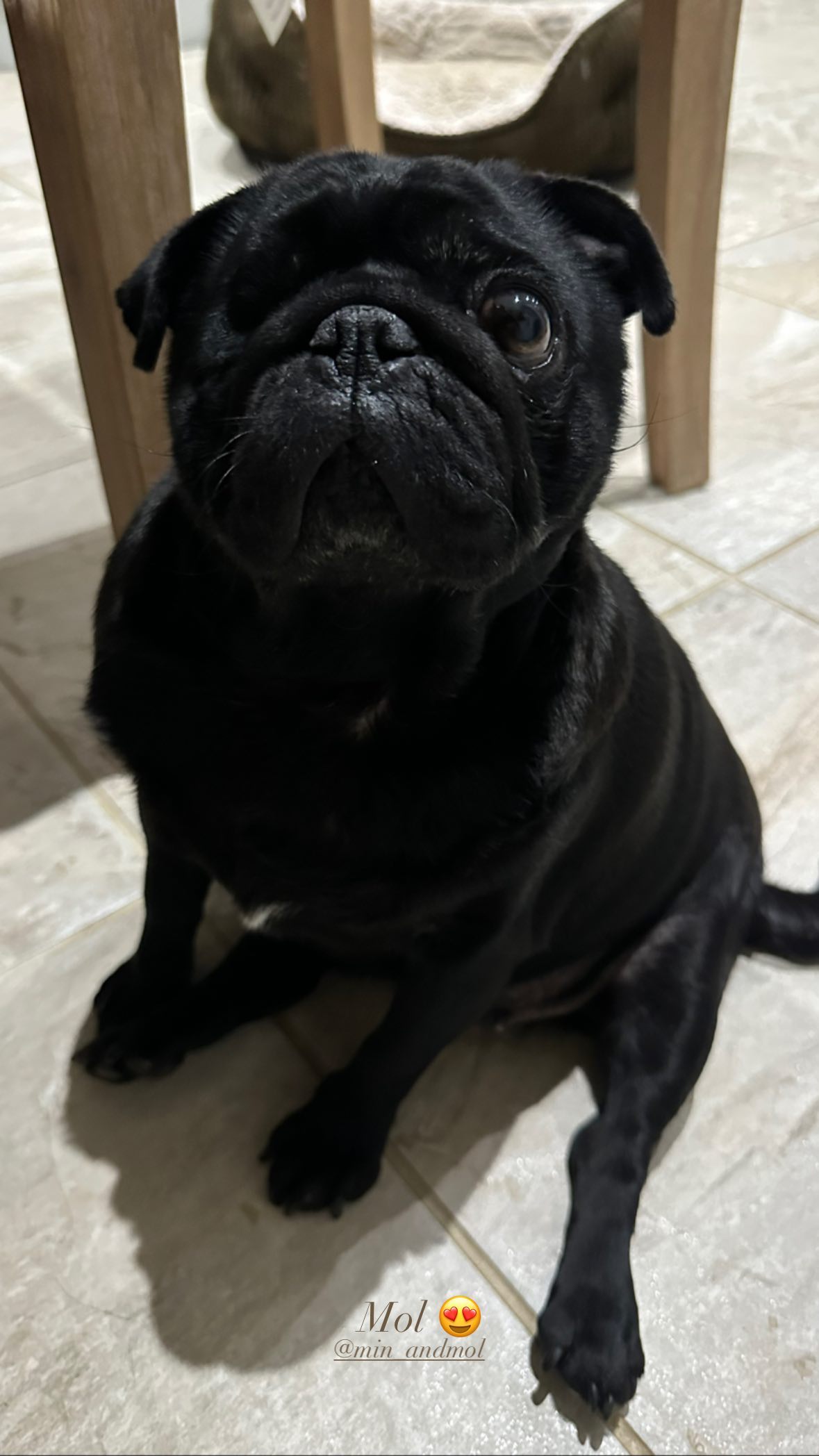 victoriaturnerr instagram image archive image