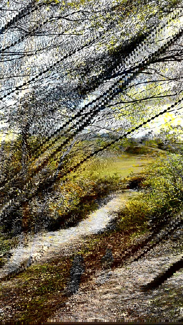 victoriaturnerr image ~ Altpins