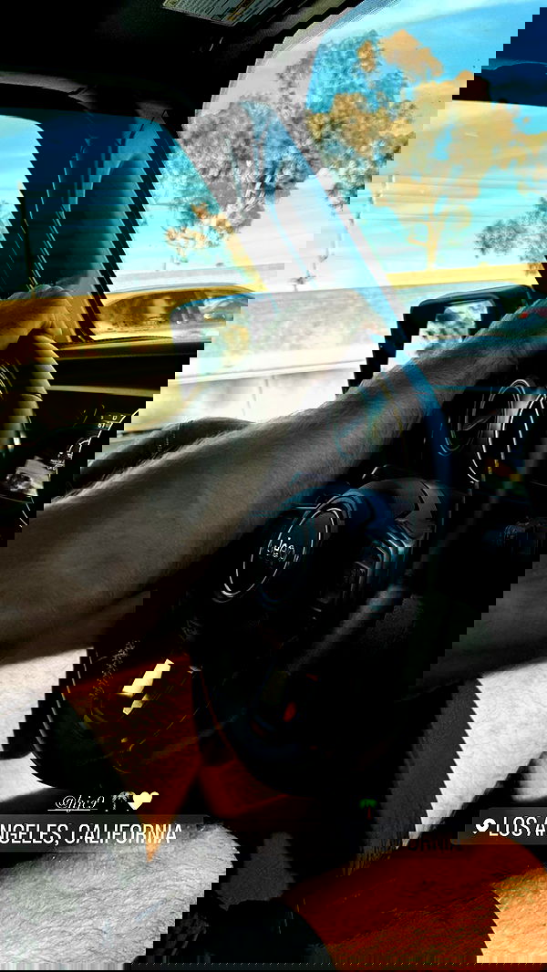 victoriaturnerr image ~ Altpins