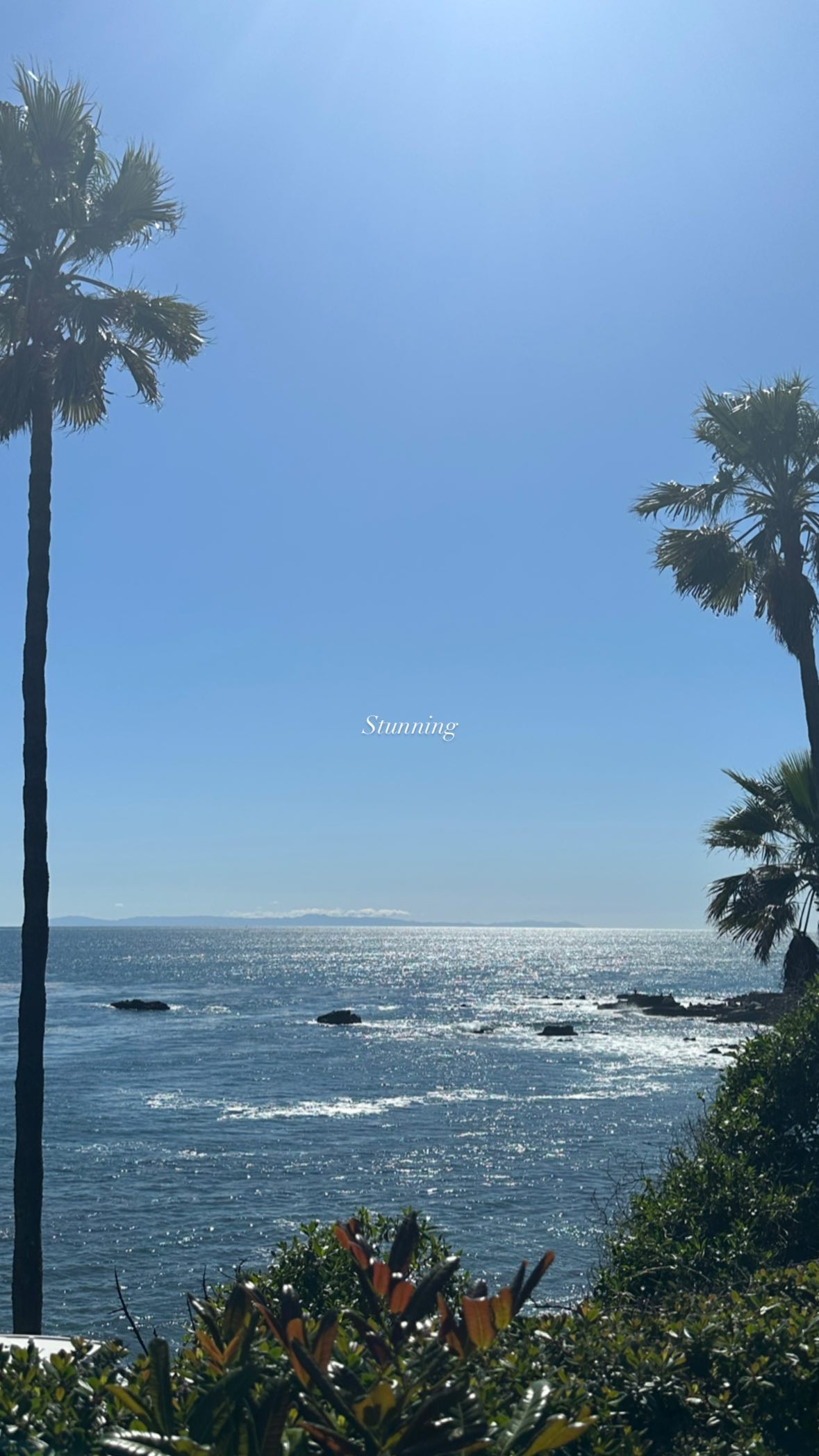 victoriaturnerr instagram image archive image