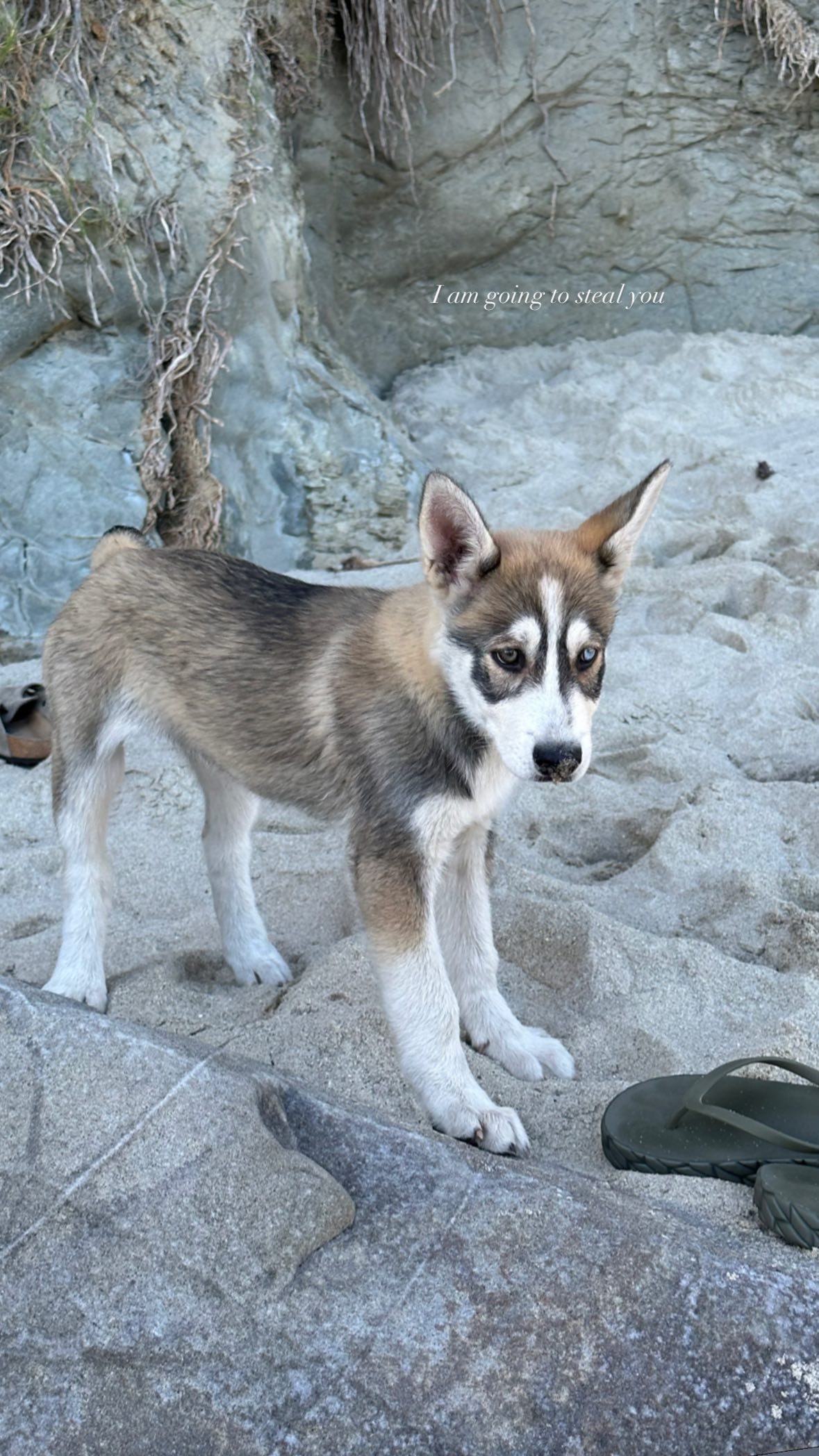 victoriaturnerr instagram image archive image