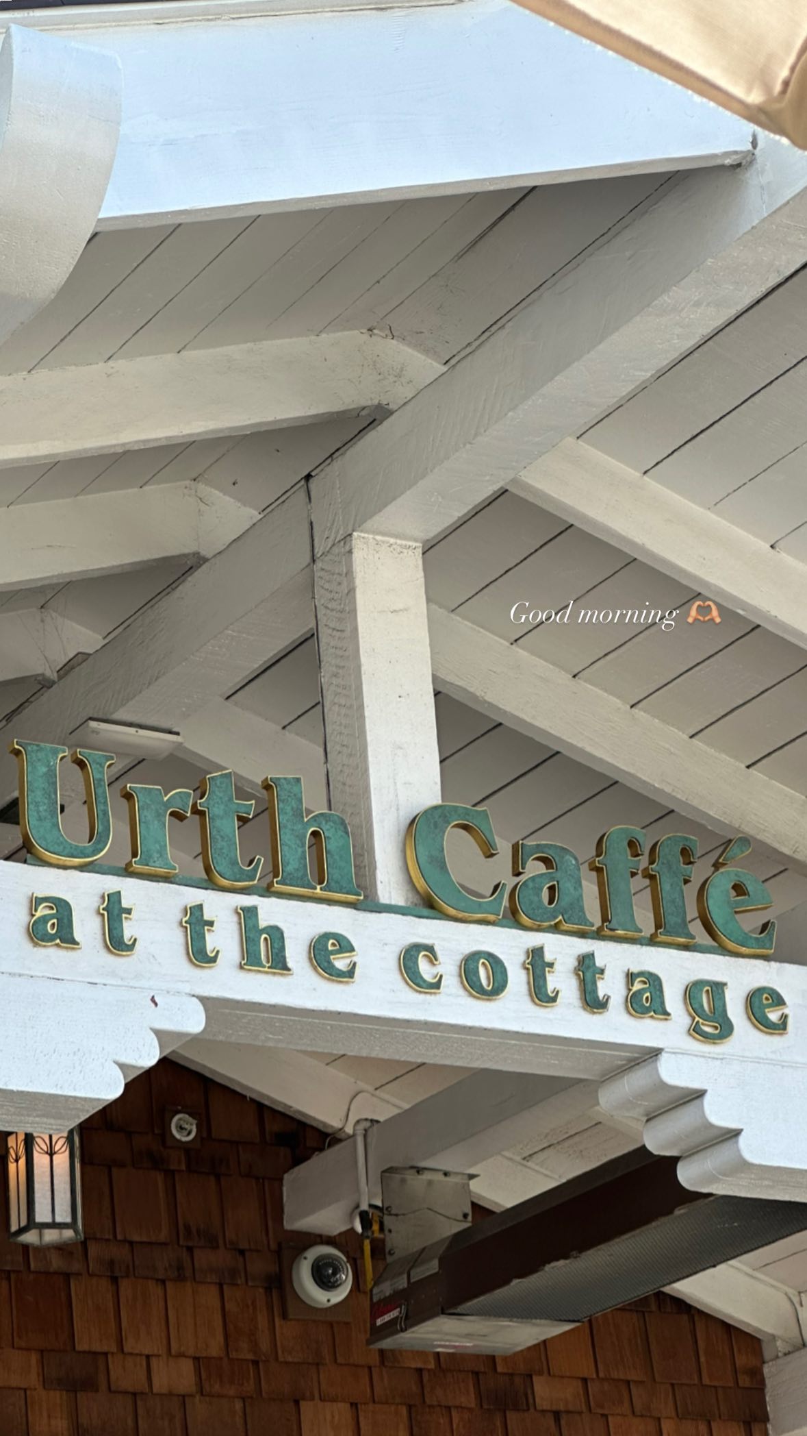 victoriaturnerr instagram image archive image