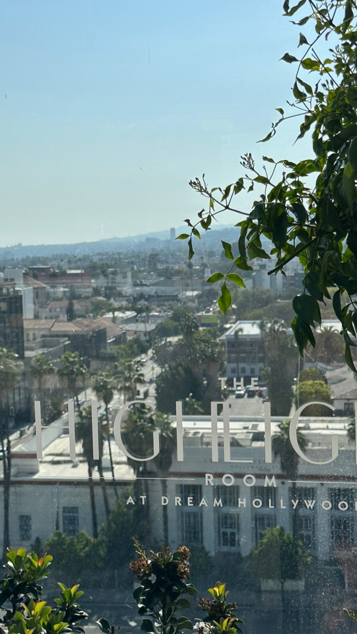 victoriaturnerr instagram image archive image