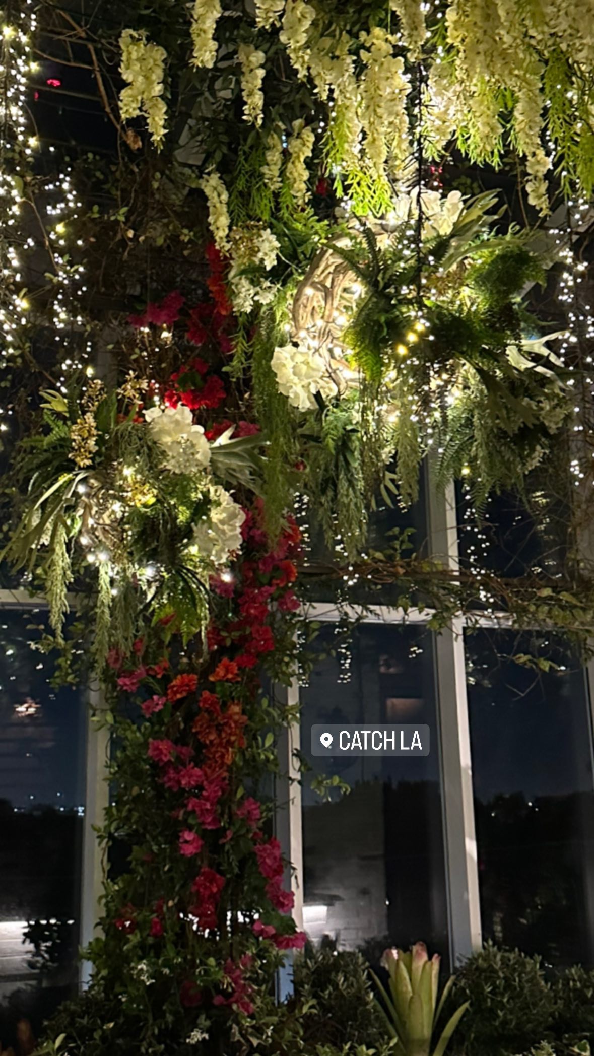 victoriaturnerr instagram image archive image