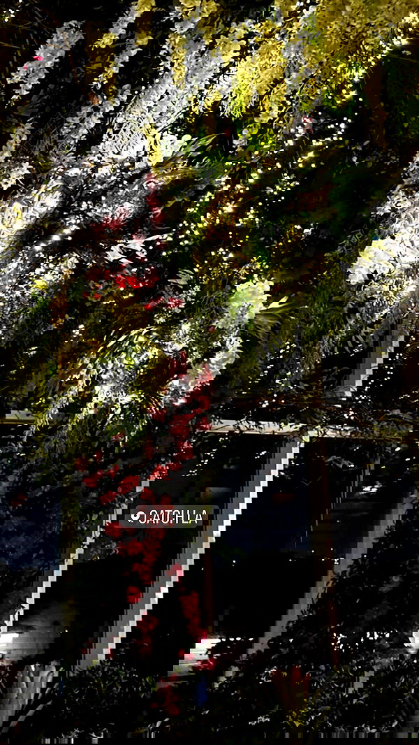 victoriaturnerr image ~ Altpins