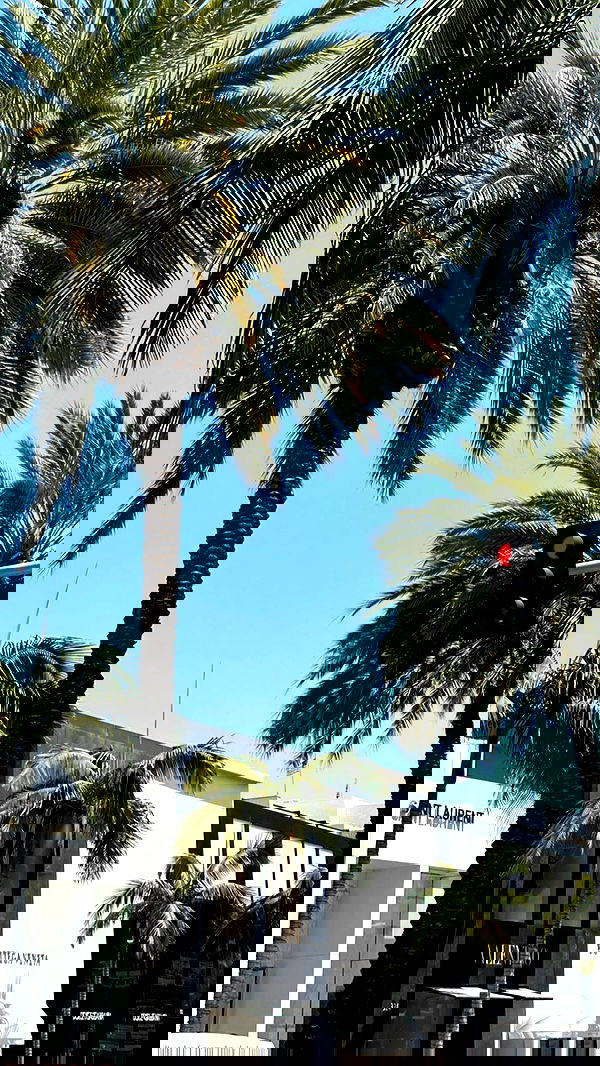 victoriaturnerr image ~ Altpins