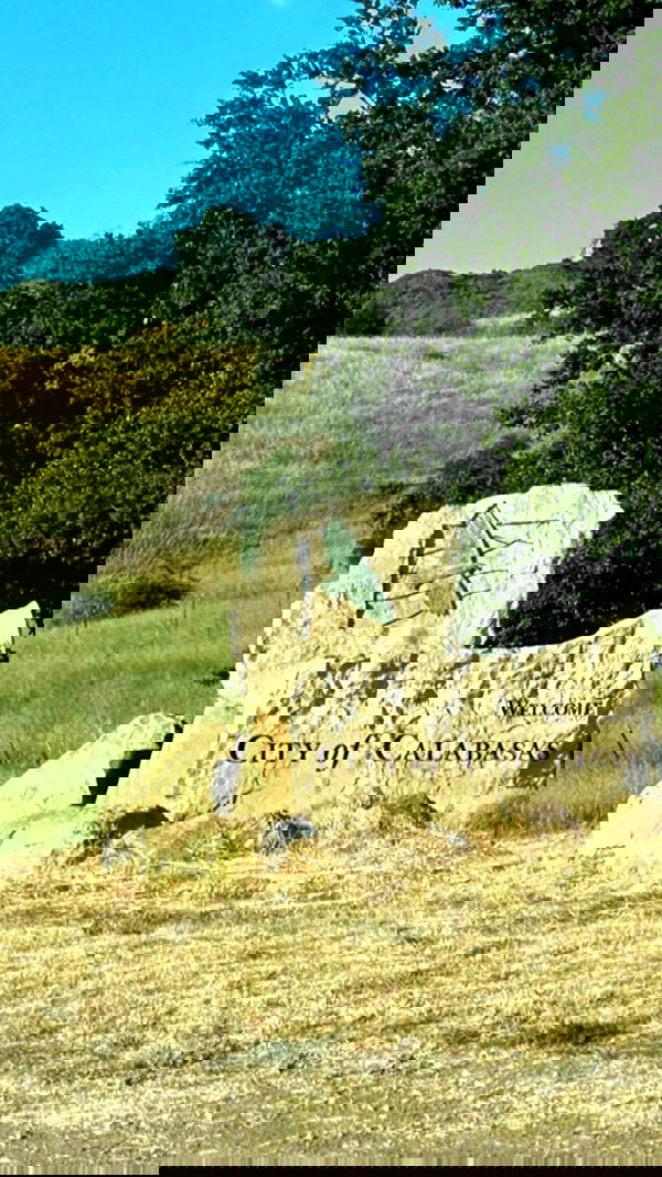 victoriaturnerr image ~ Altpins