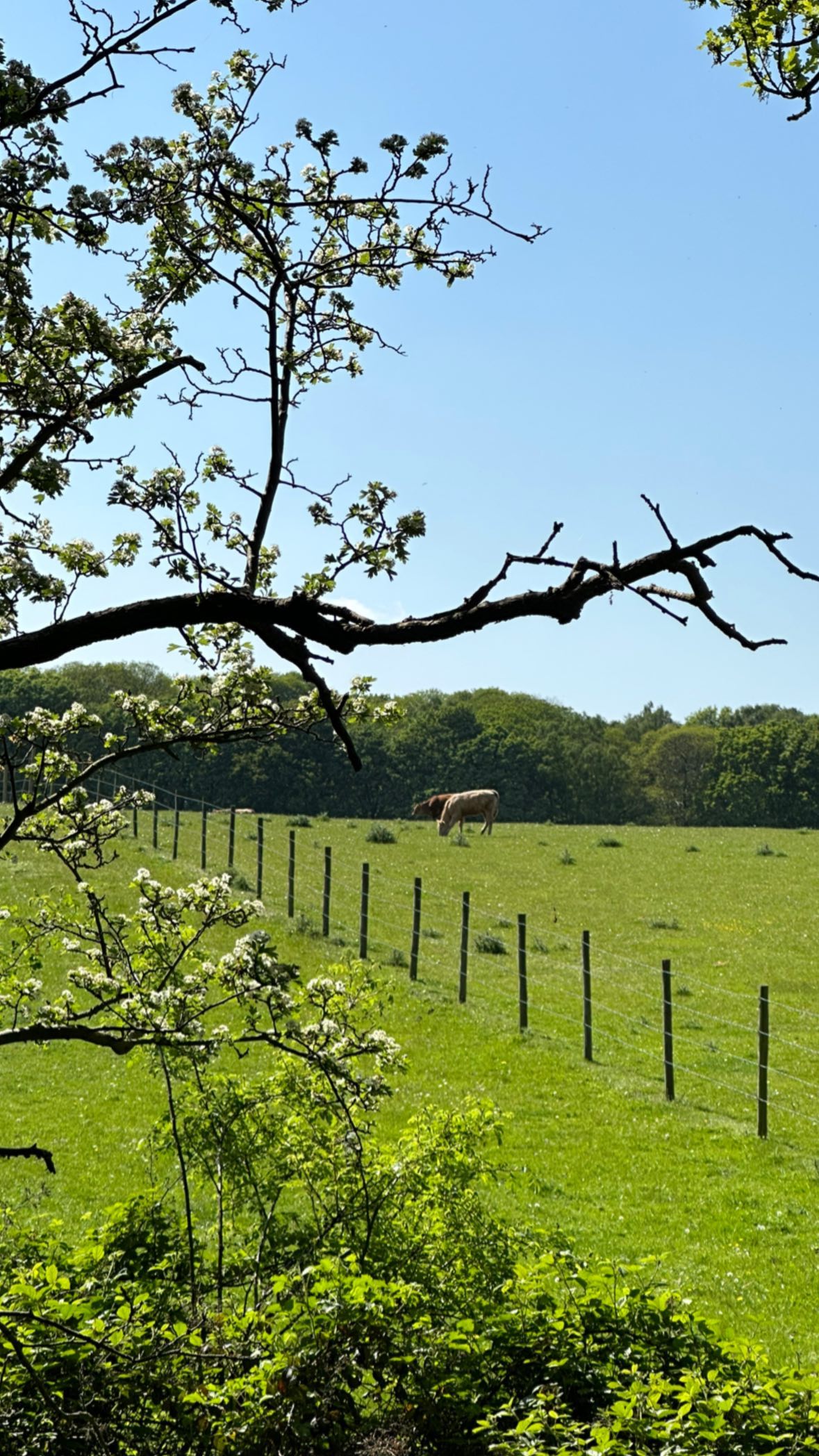 victoriaturnerr instagram image archive image