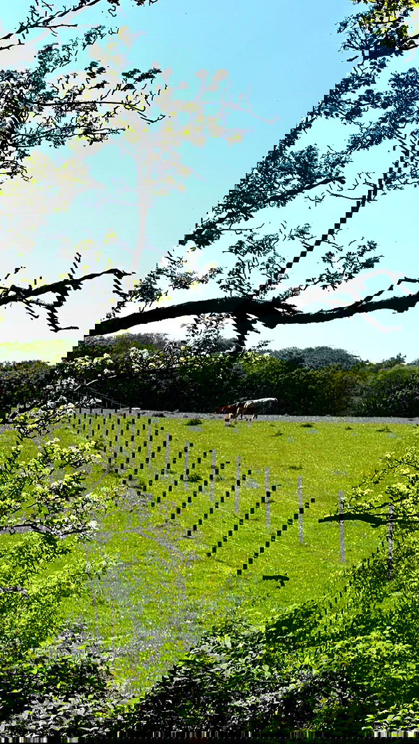 victoriaturnerr image ~ Altpins