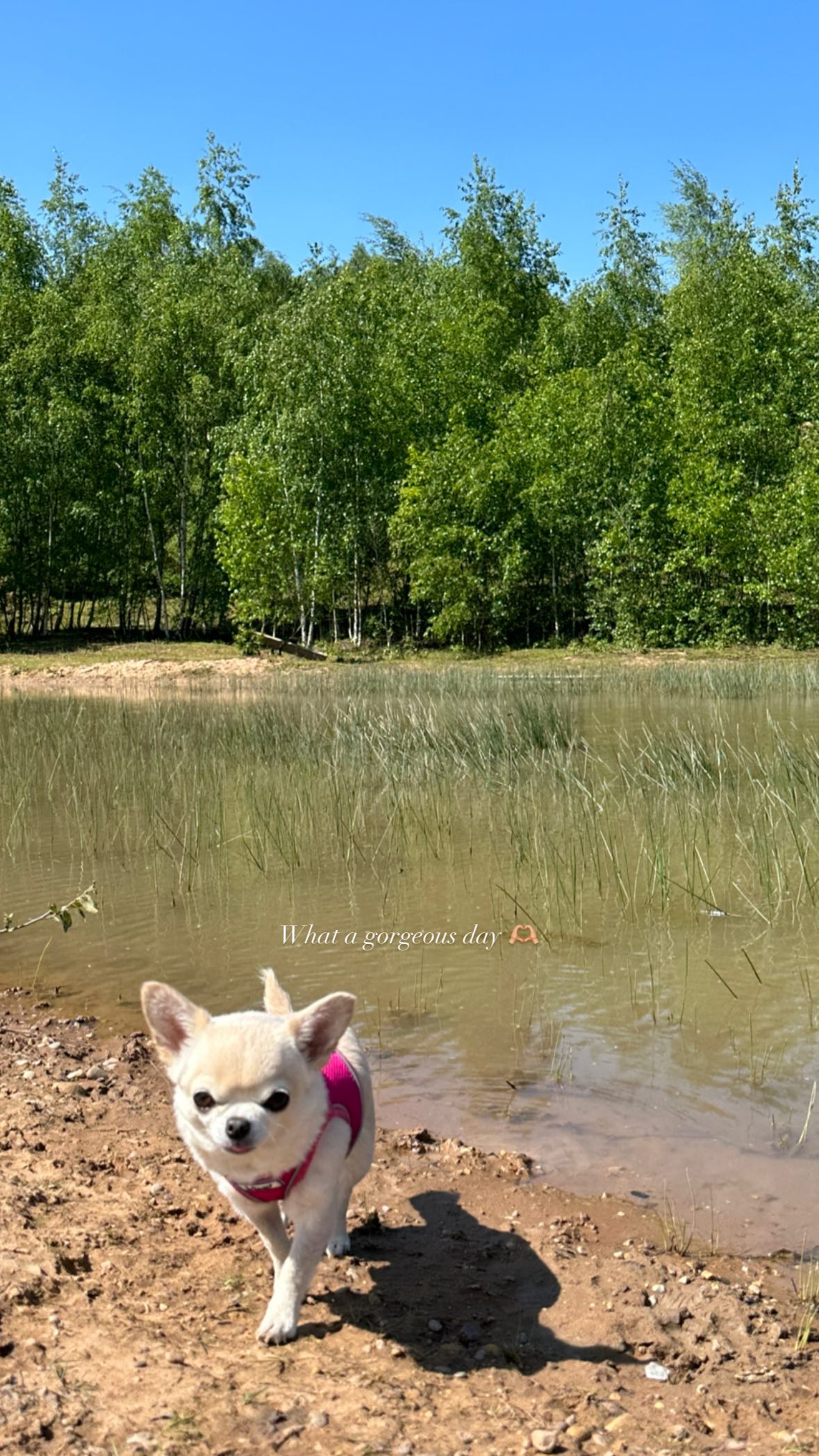 victoriaturnerr instagram image archive image