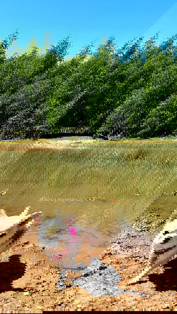 victoriaturnerr image ~ Altpins