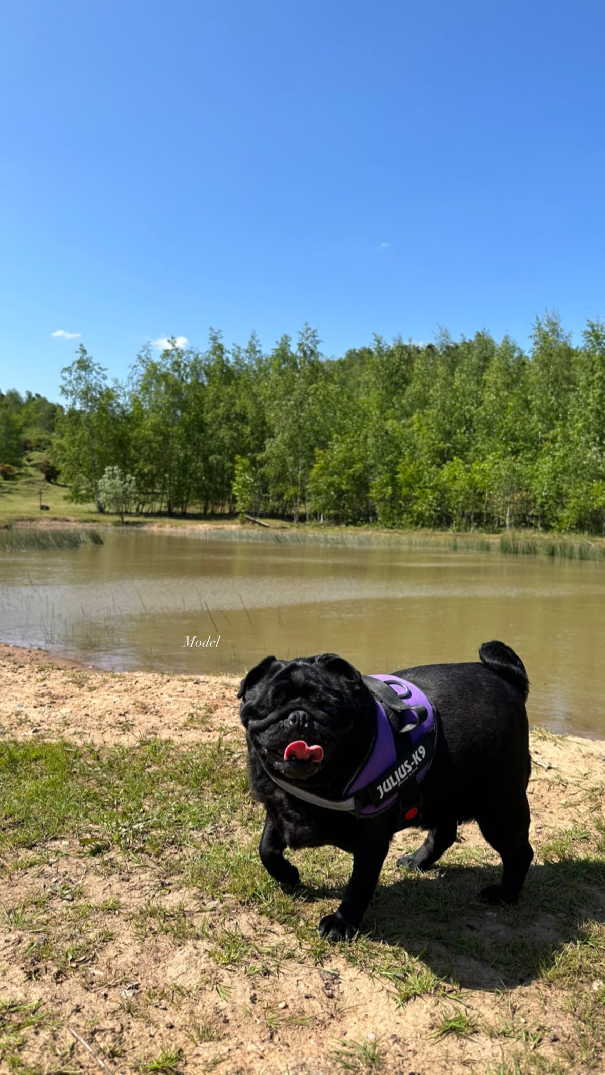 victoriaturnerr instagram image archive image