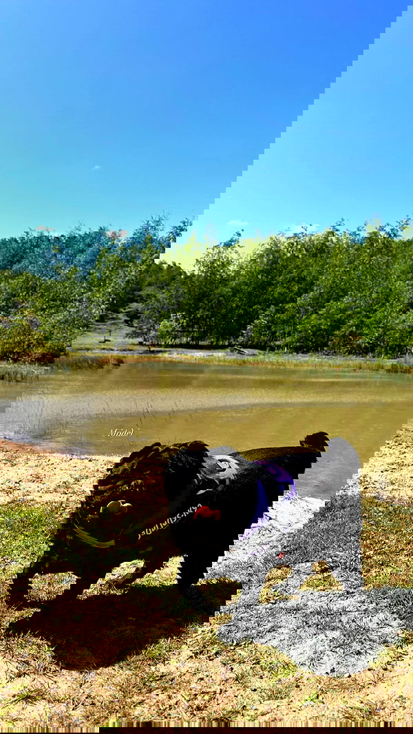 victoriaturnerr image ~ Altpins