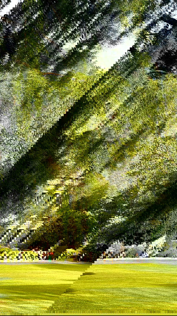 victoriaturnerr image ~ Altpins