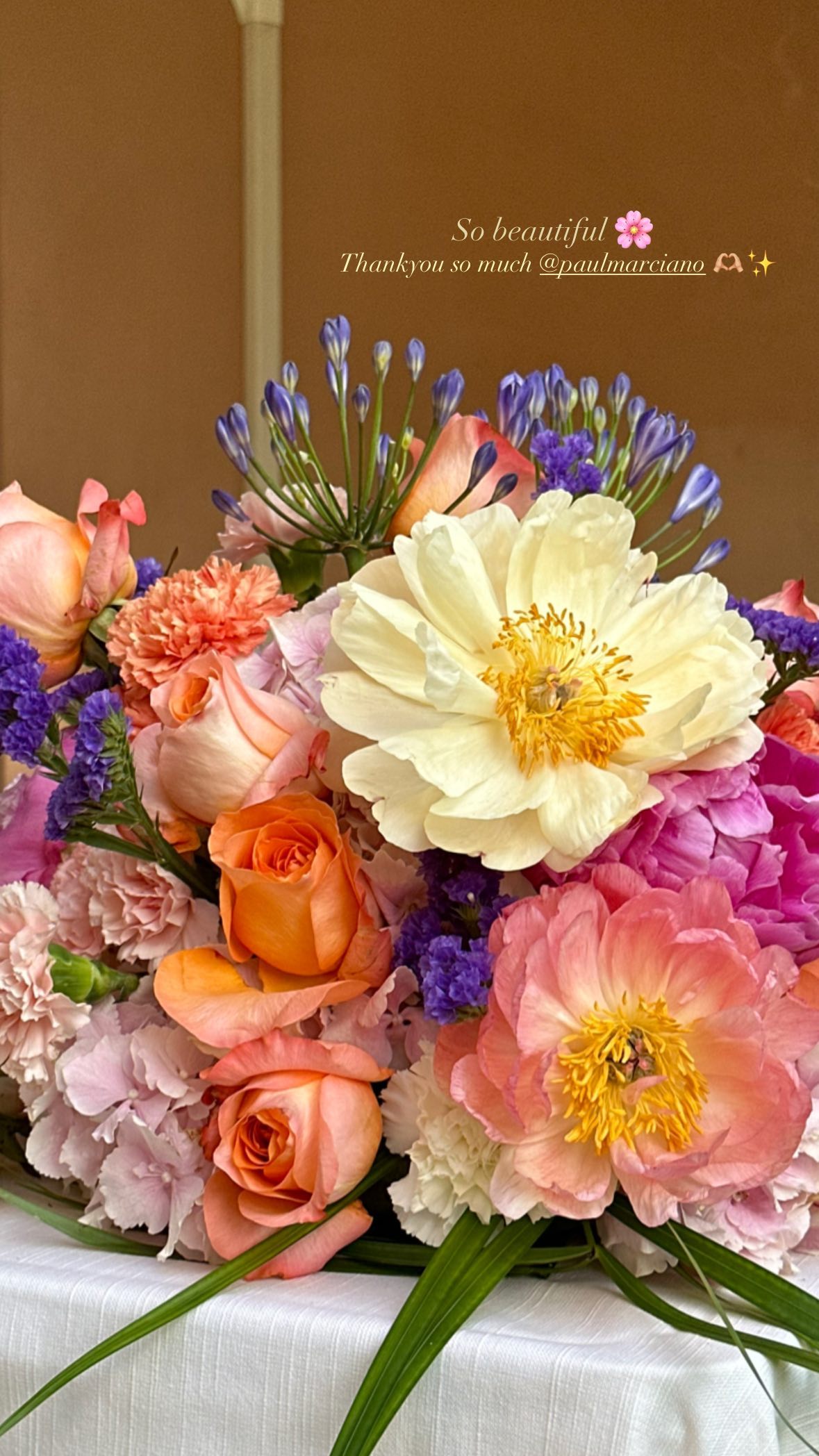 victoriaturnerr instagram image archive image