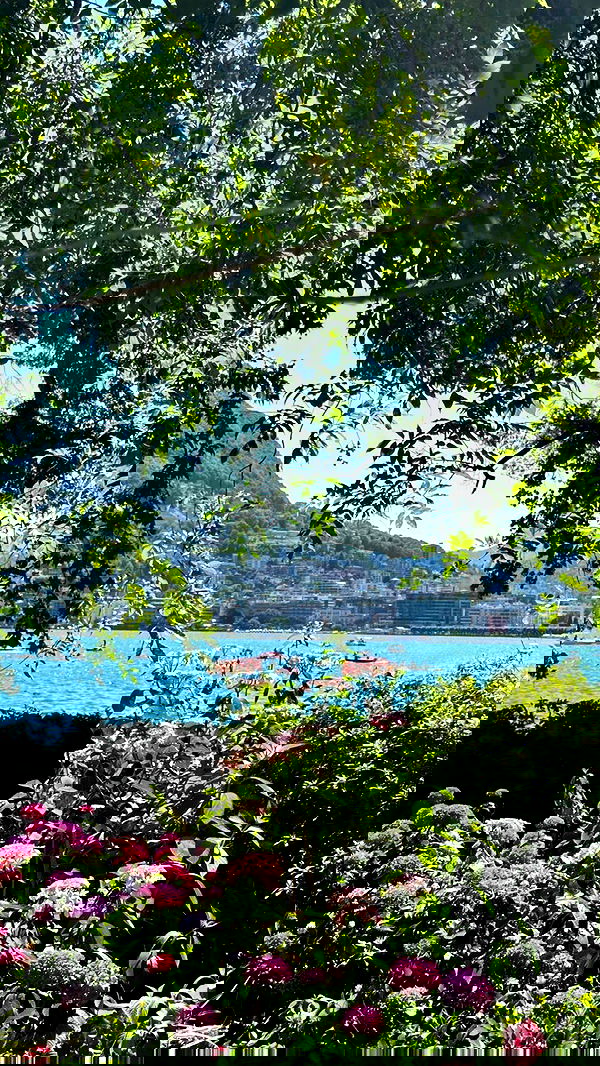 victoriaturnerr image ~ Altpins