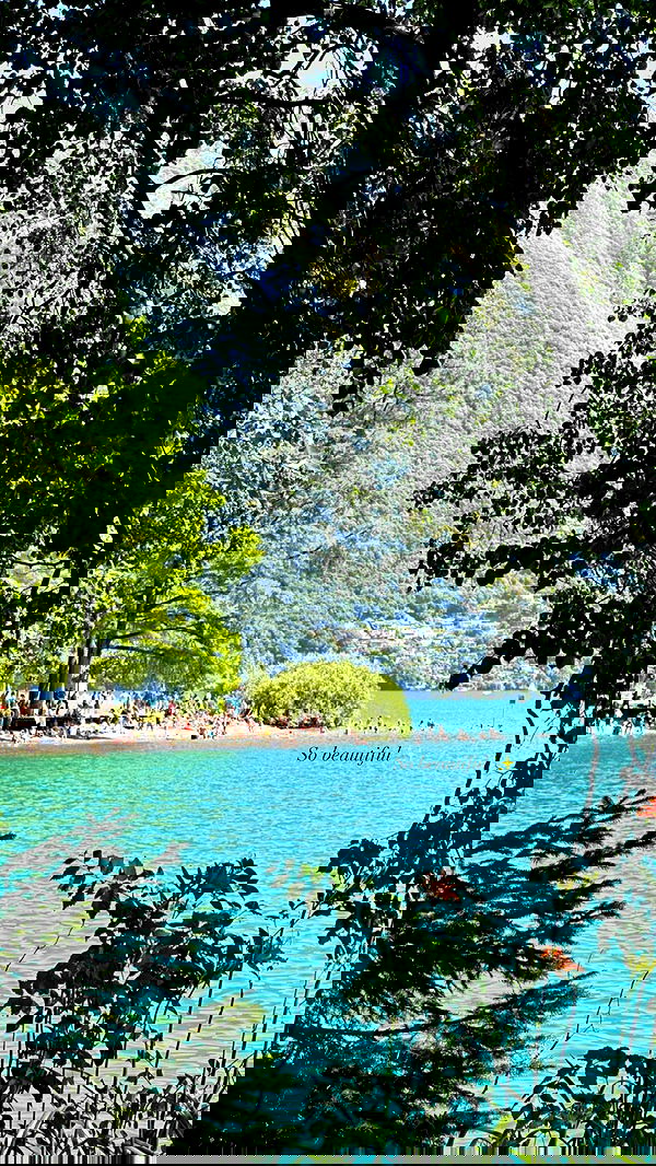 victoriaturnerr image ~ Altpins